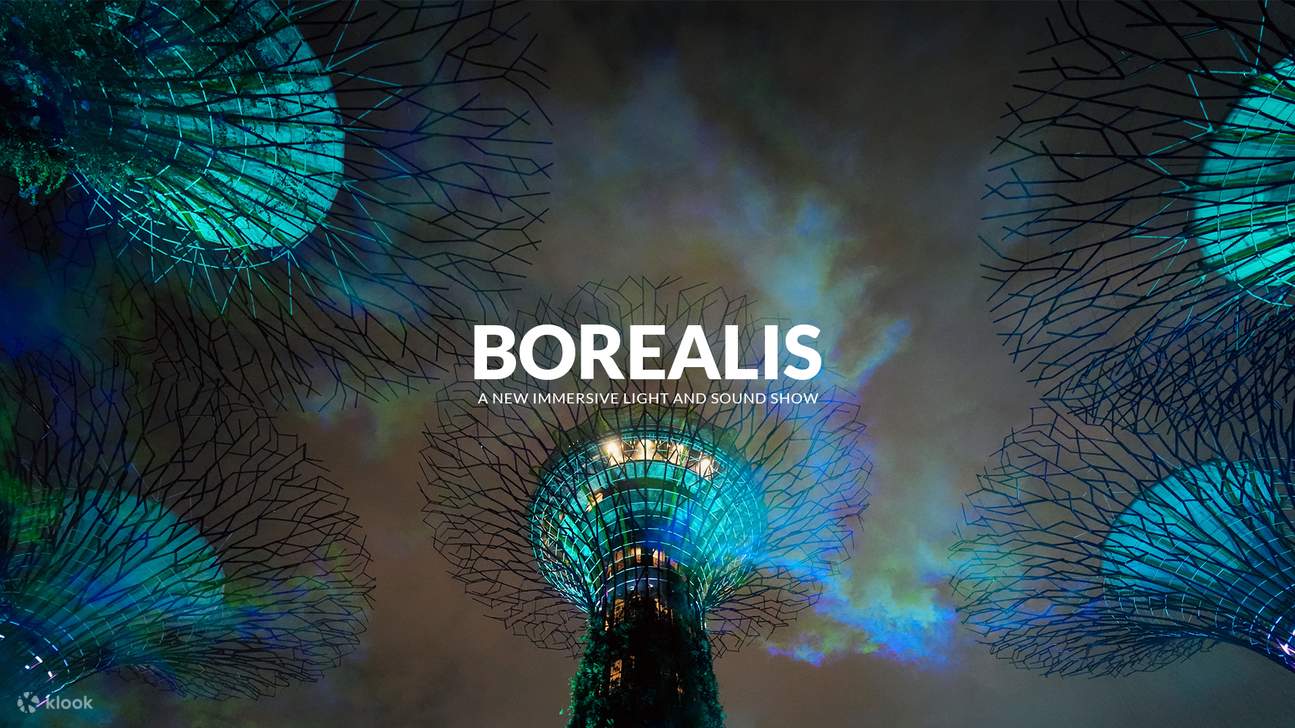 gardens by the bay Northern Lights in Singapore with Borealis