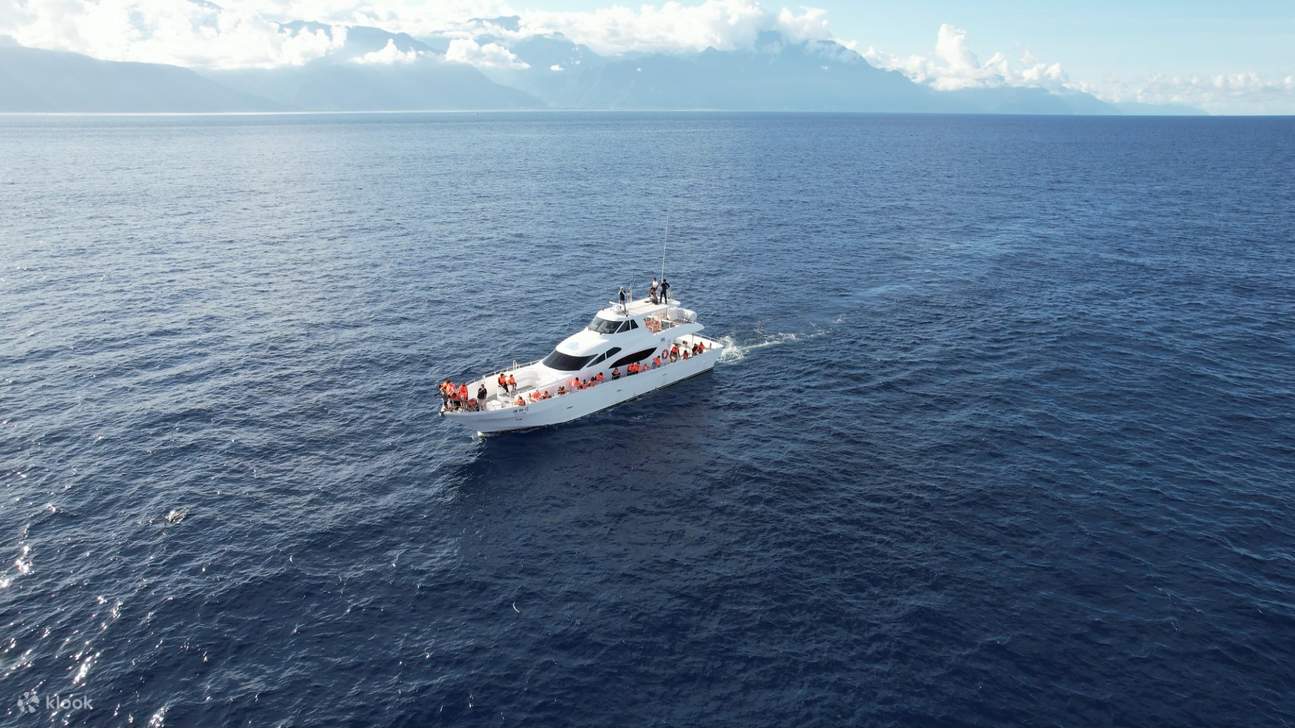 Walbeobachtungstour mit dem Boot in Hualien