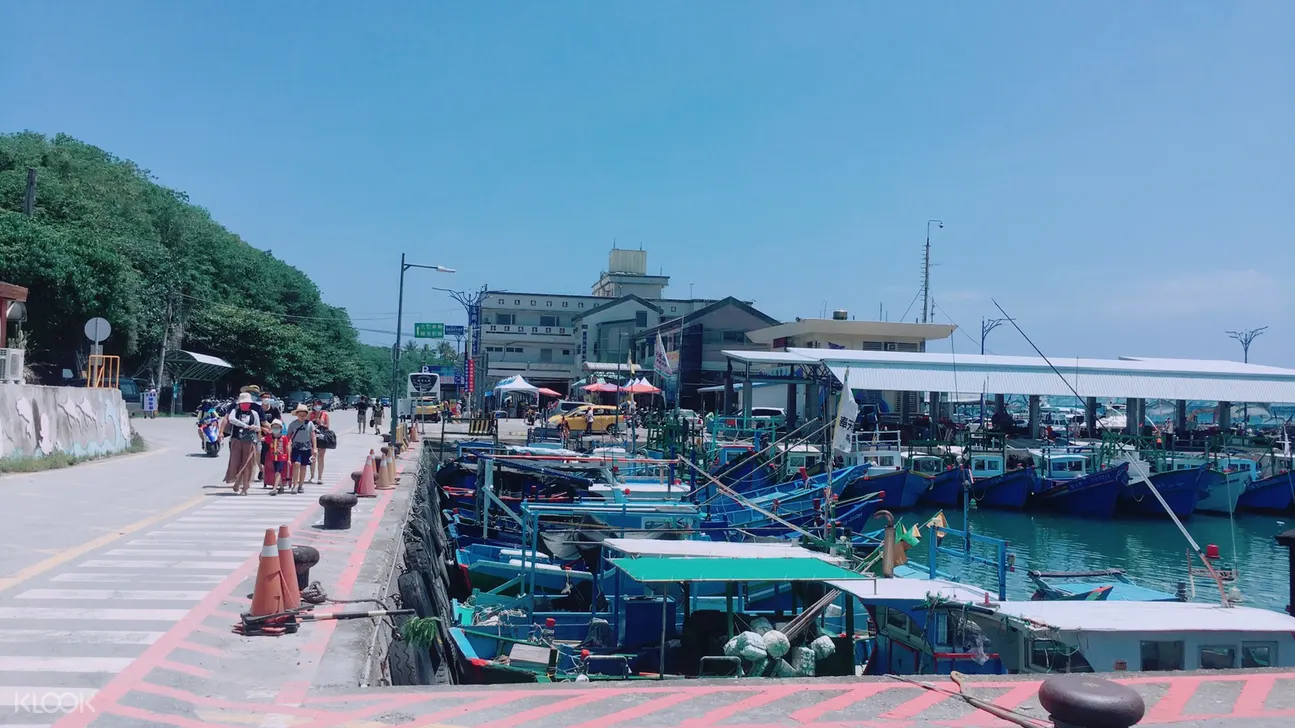 景點包車接送 花蓮 台東市區 富岡漁港 Klook客路