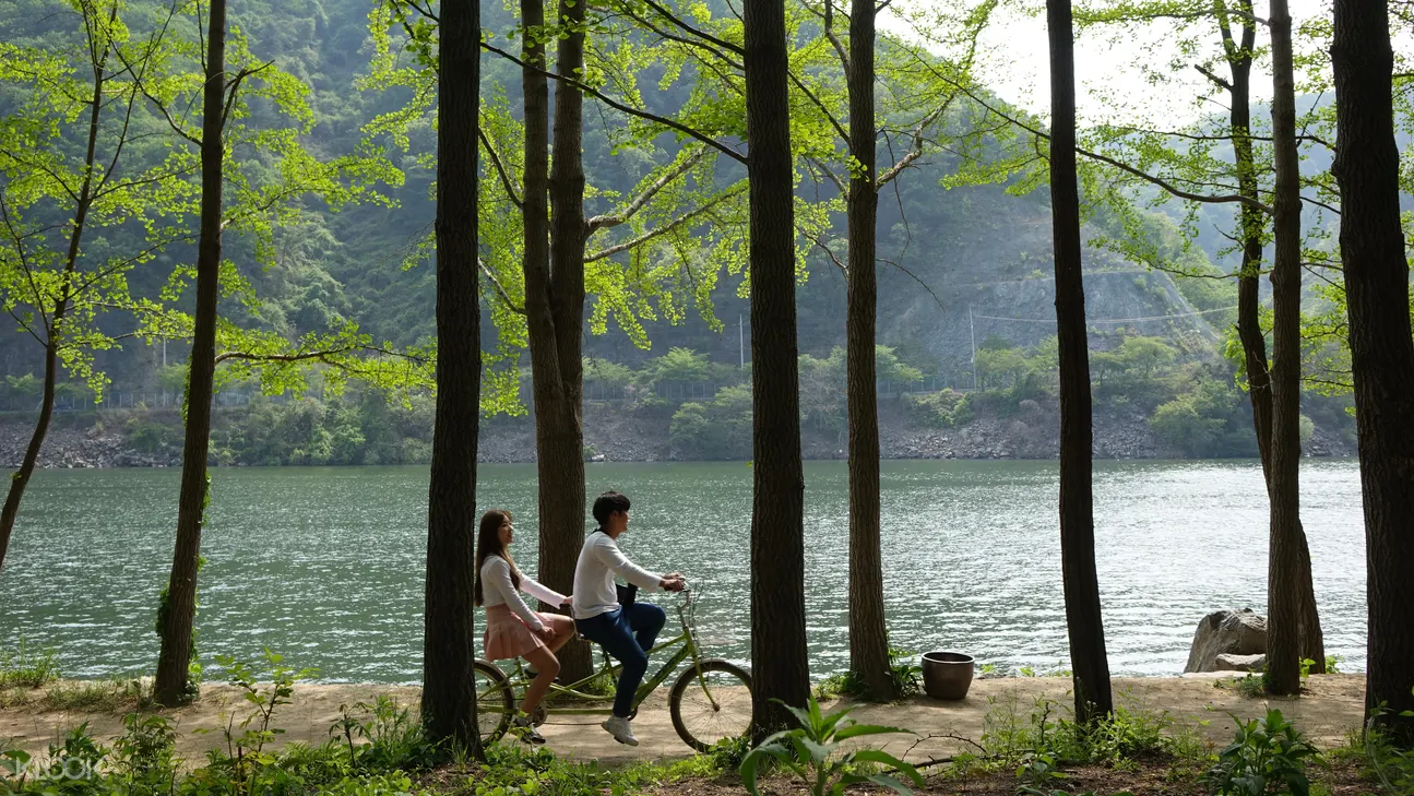 南怡島,鐵道自行車,小法國村,晨靜樹木園,江原道一日遊,韓劇一日遊