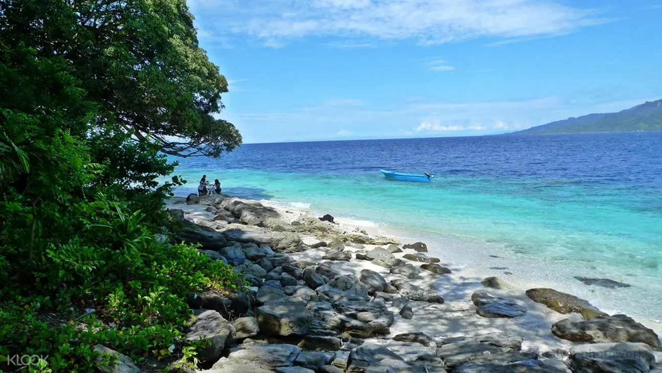 生還者島（迪加島）