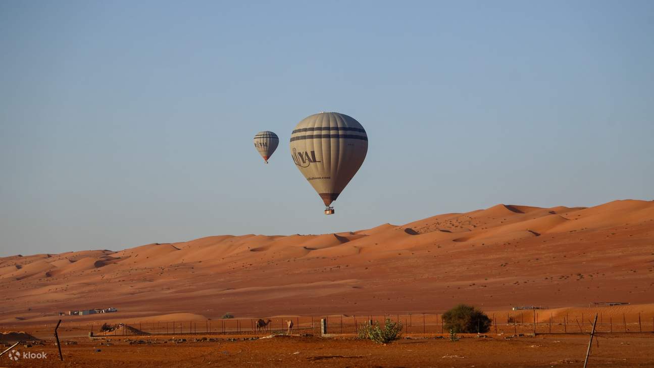 広大で穏やかなワヒバ砂漠の上空に、熱気球が1つ、静かに浮かんでいます。