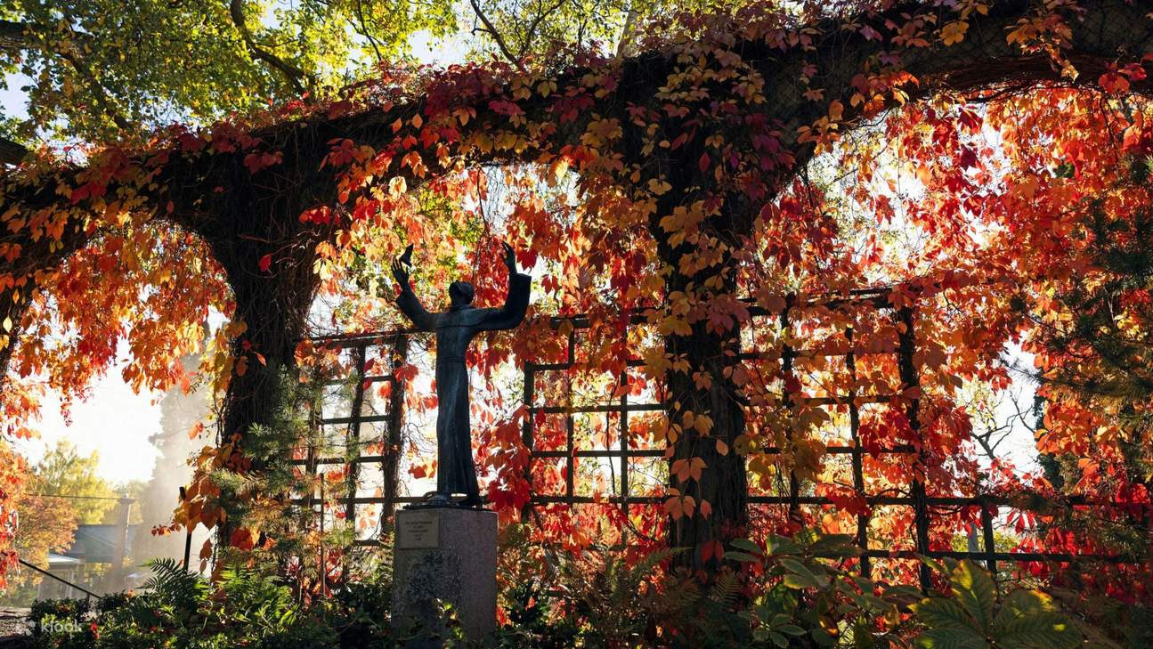 探索与自然美景和谐融合的引人注目的雕塑