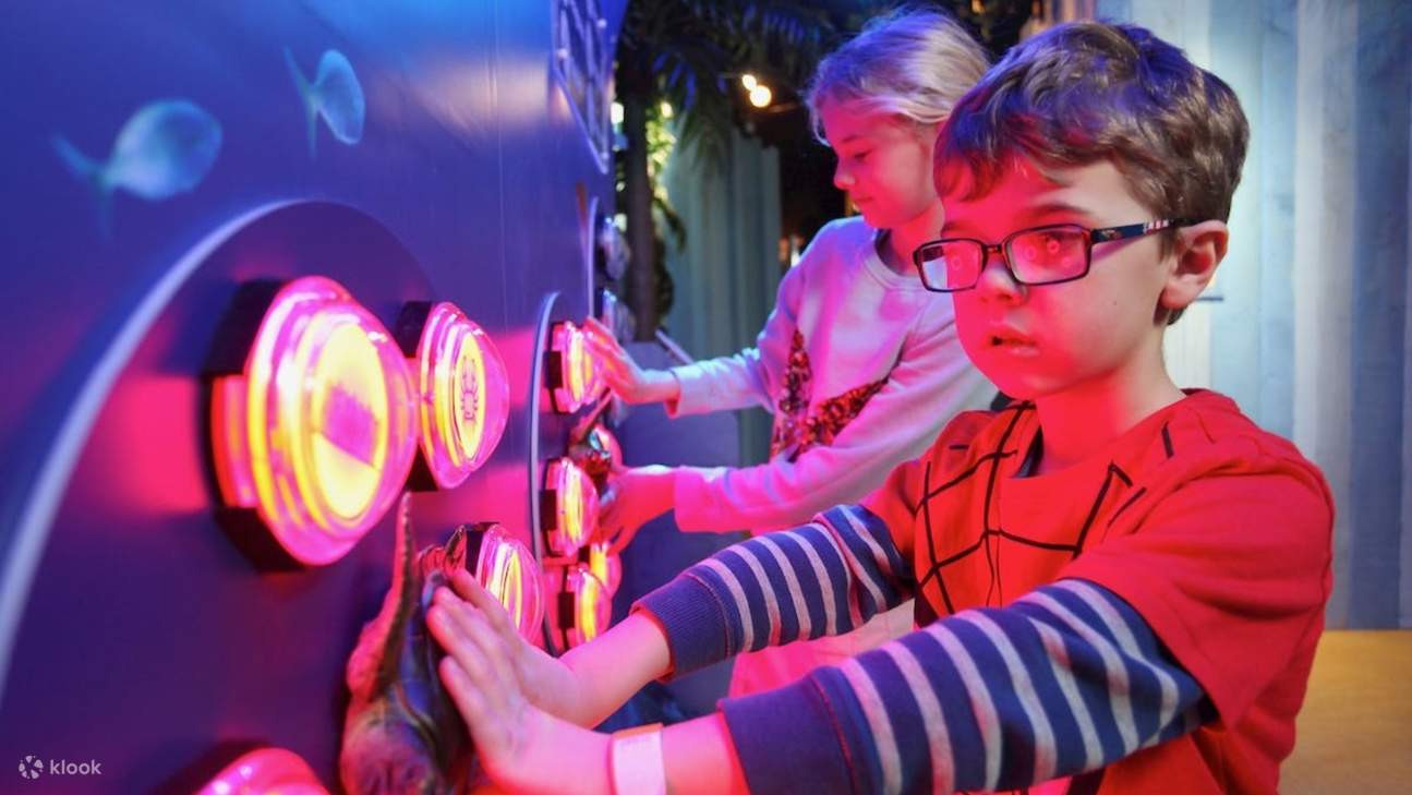 この水中アドベンチャーでは、海洋動物たちがすぐ近くを泳ぎ、深海の驚異を体験できます。