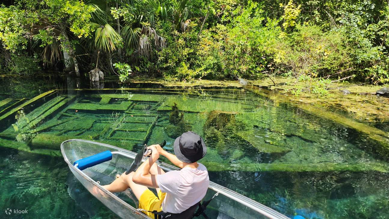 Manatees and Monkeys Clear Kayak or Clear Paddleboard Adventure at S