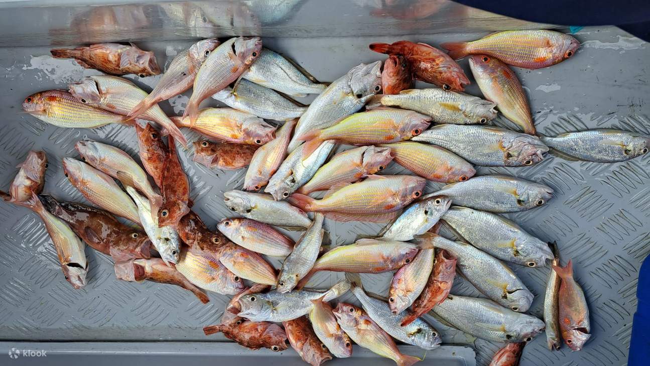 Ji Tsai Kee Fishing Fun Kumpulan Memancing Air Hong Kong