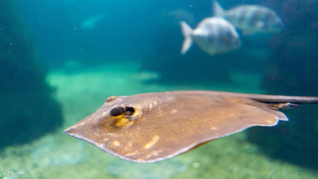 แผงให้ความรู้ให้ข้อมูลที่น่าสนใจเกี่ยวกับระบบนิเวศทางทะเลแต่ละแห่ง