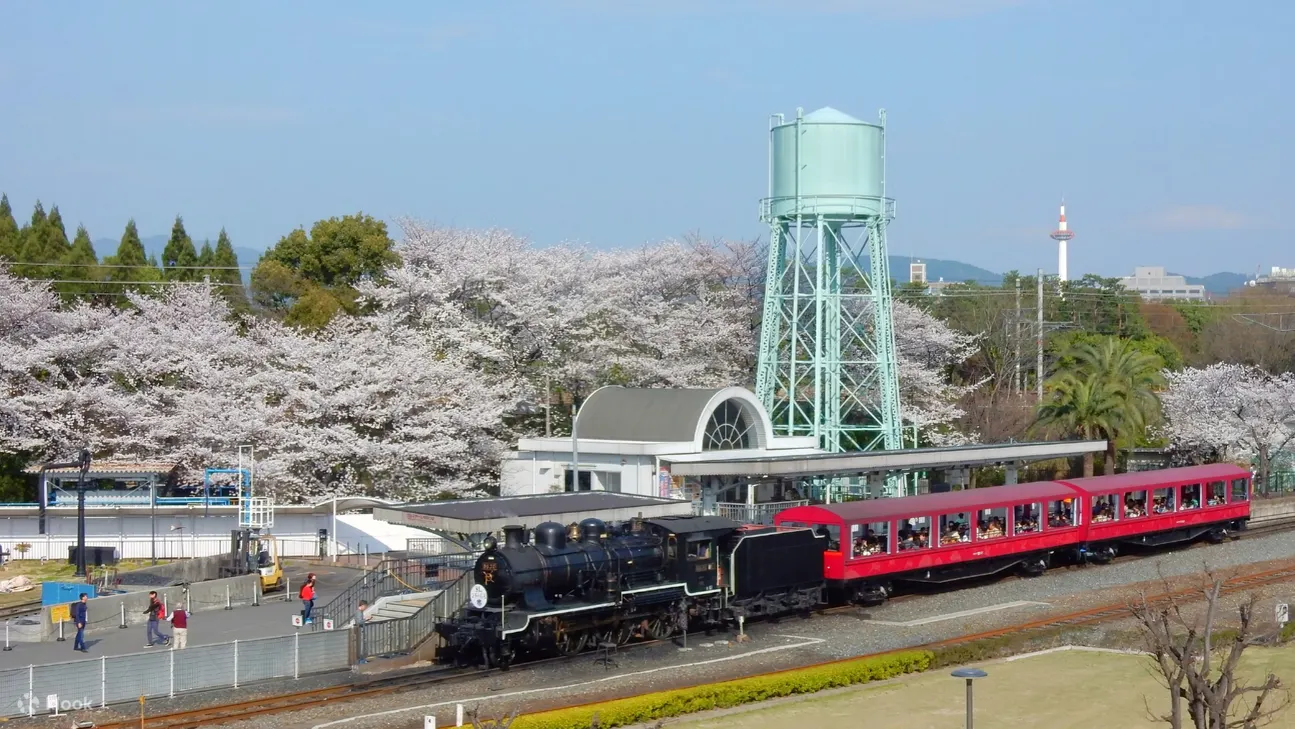 京都铁道博物馆 (kyoto railway museum) 樱花