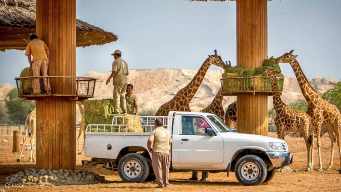 Al Ain Zoo Ticket Klook al-ain-zoo-ticket-klook