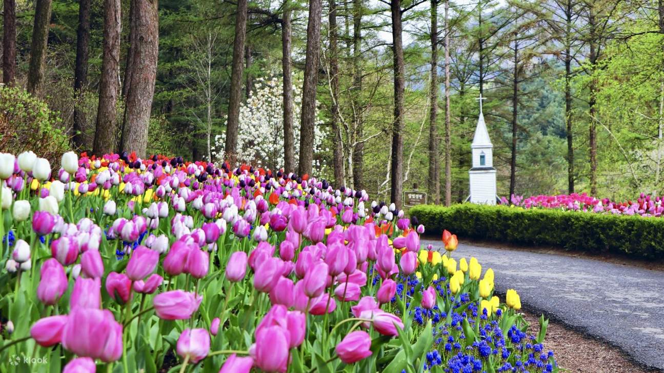 NamiInsel, AlpakaWeide und der Garten der Klook