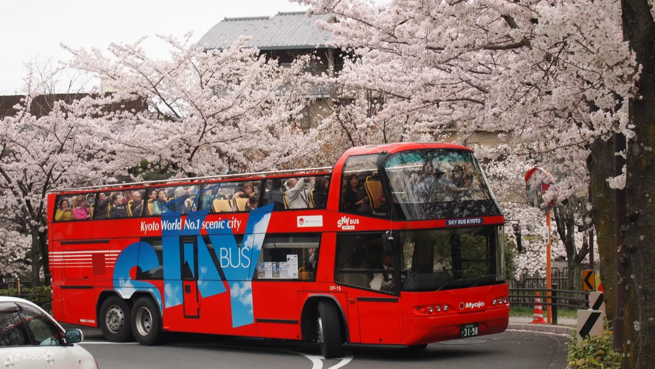 京都 Skybus 随上随下观光红色双层巴士