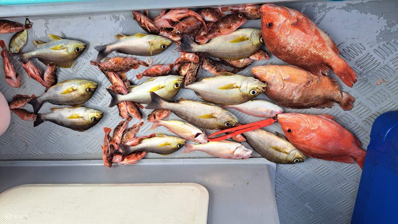 Ji Tsai Kee Fishing Fun Hong Kong Water Fishing Group