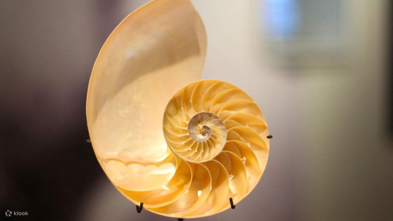 Erkunden Sie Ausstellungen, die sich mit dem künstlerischen und sozialen Kontext der Amsterdamer Schule Bewegung befassen.