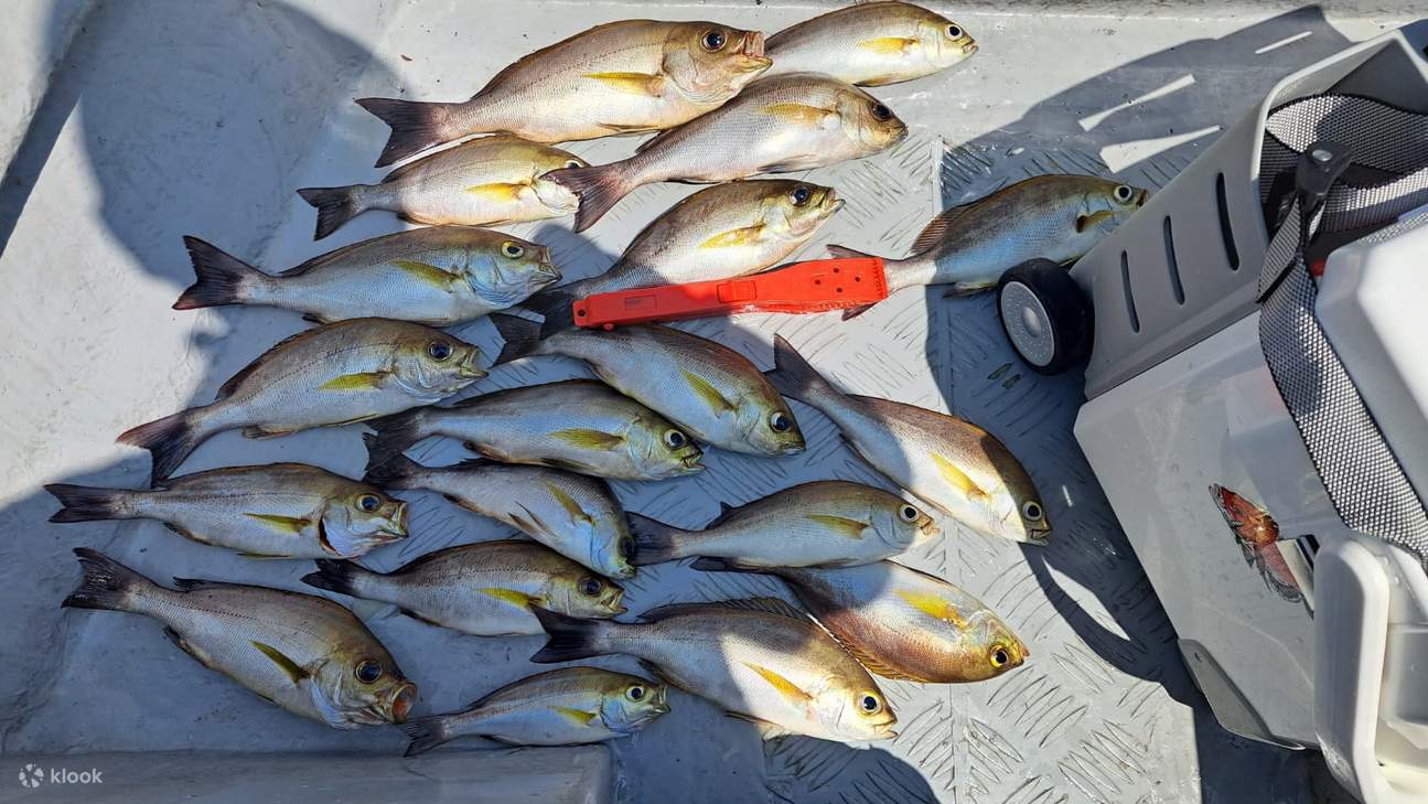 Ji Tsai Kee Fishing Fun Hong Kong Water Fishing Group
