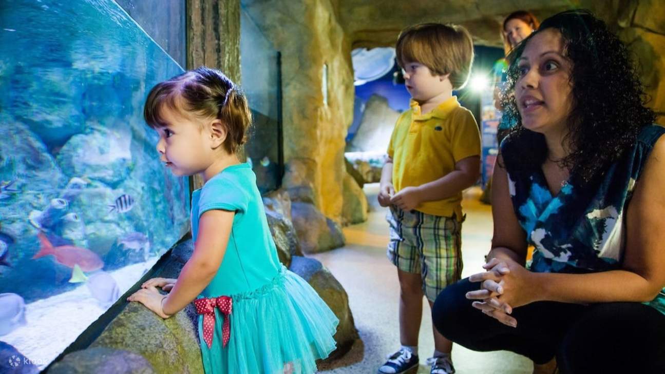 Disfrute de un día de diversión y aprendizaje para toda la familia con fascinantes exhibiciones submarinas y muestras interactivas.