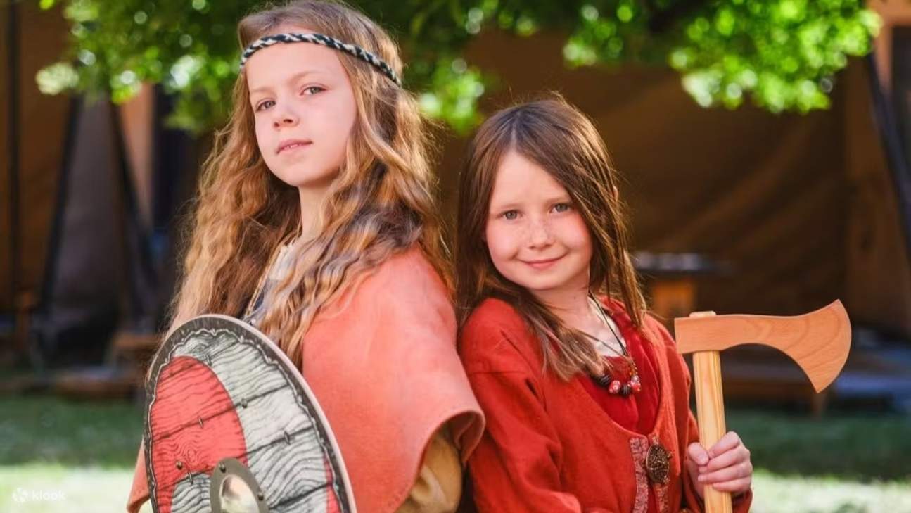 Swedish History Museum ticket in Stockholm