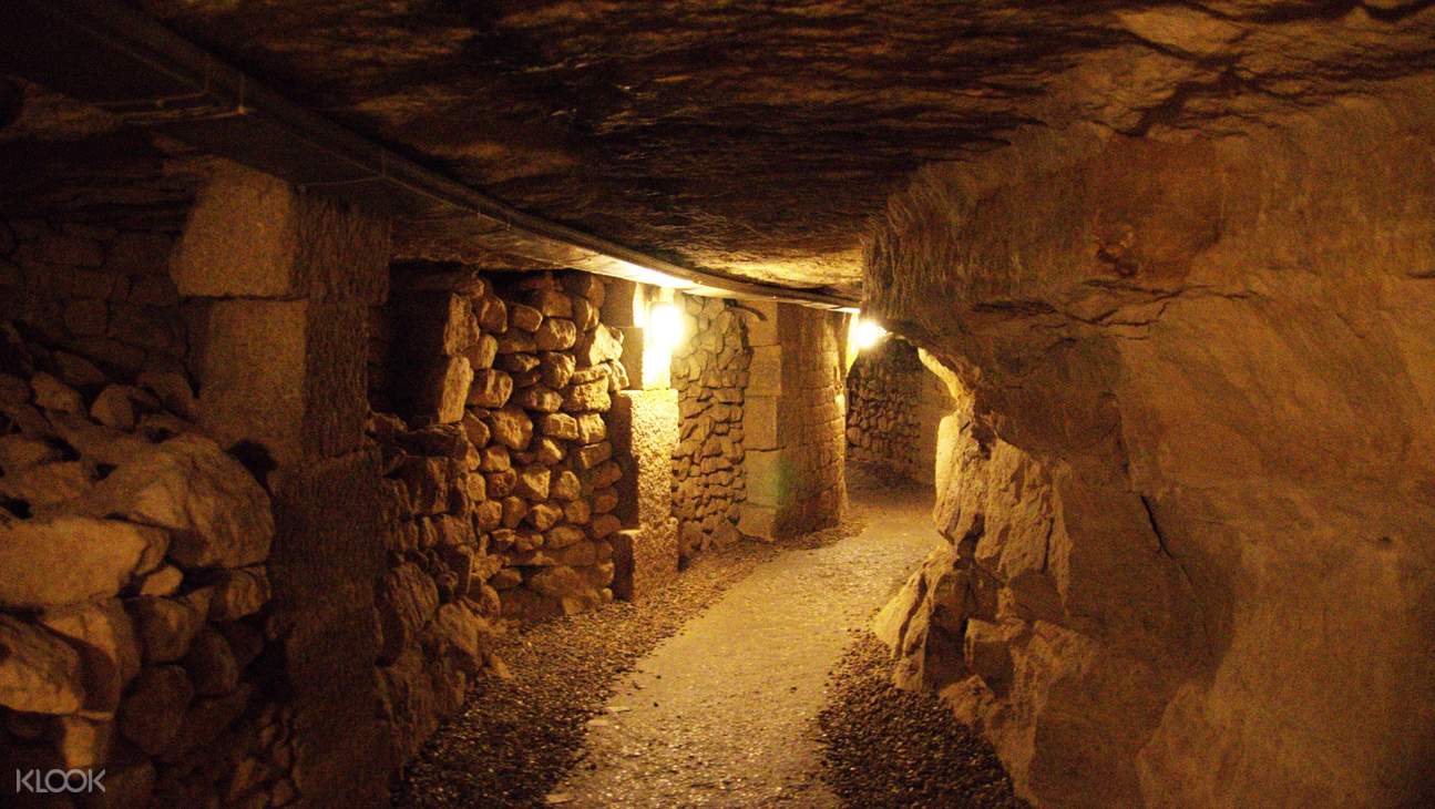 of Paris SkiptheLine Private Tour in France