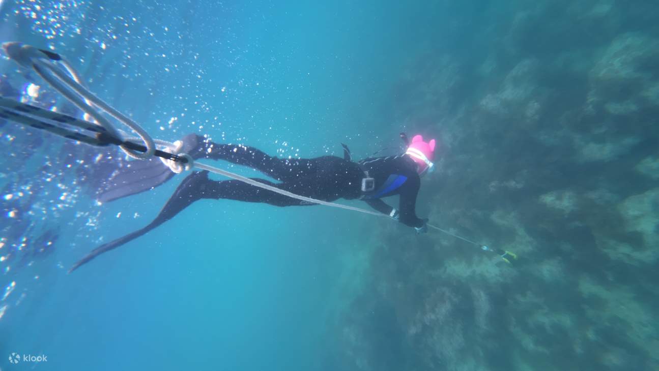 在济州岛西归浦海域体验自由潜水