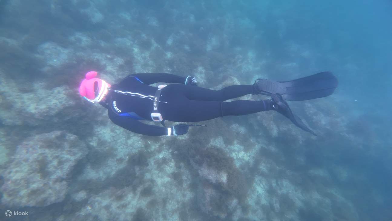 Experience free diving in the sea of Seogwipo, Jeju Island Klook