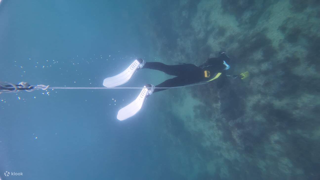 在济州岛西归浦海域体验自由潜水