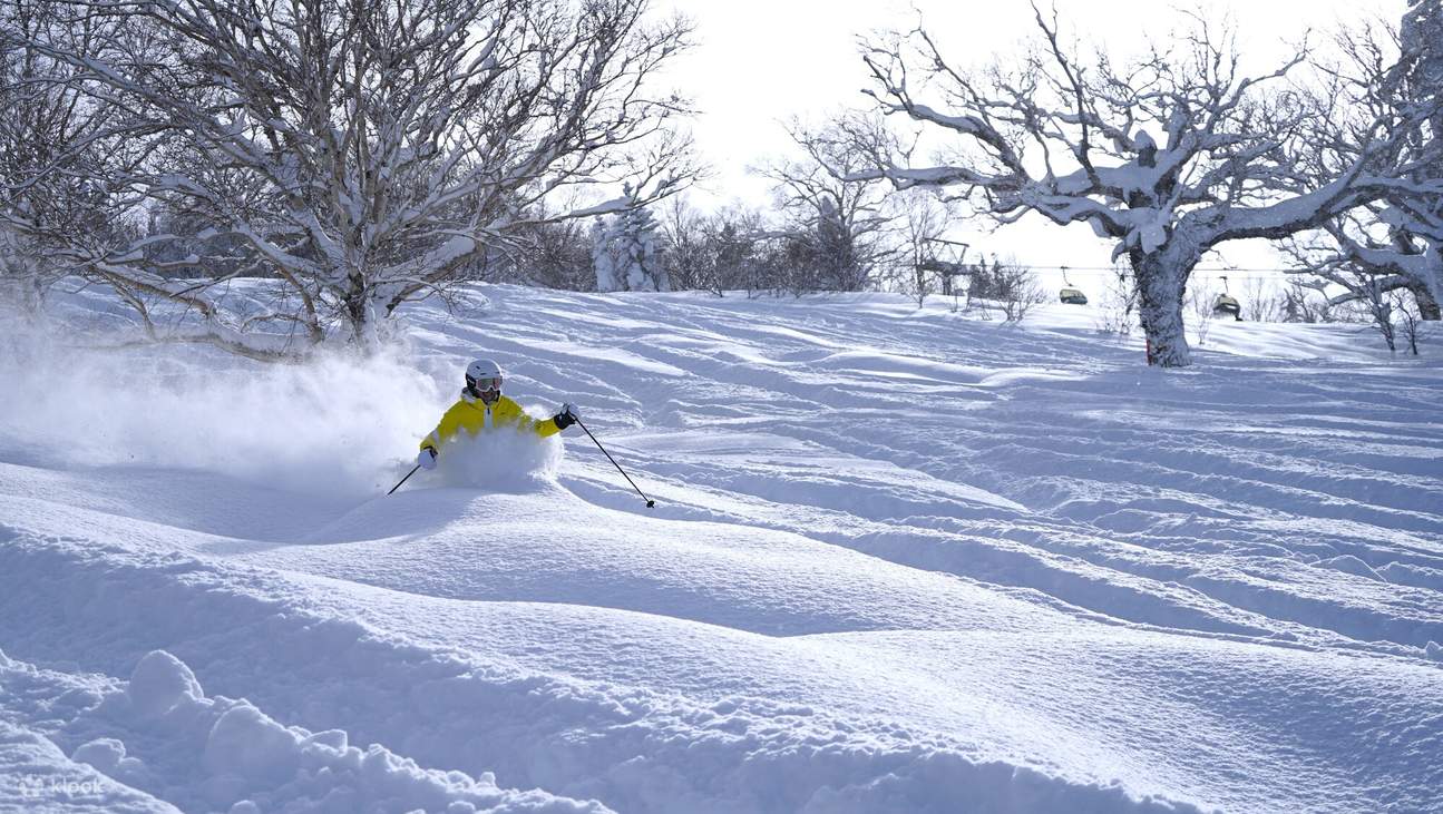Беговые лыжи: самая длинная трасса простирается на 4 050 метров, что обеспечивает длительное и захватывающее скольжение.

Отличные удобства: Полностью оборудованные удобства обеспечивают безопасное и комфортное катание на лыжах.