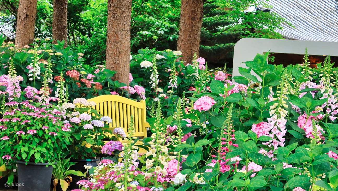 NamiInsel, AlpakaWeide und der Garten der Klook