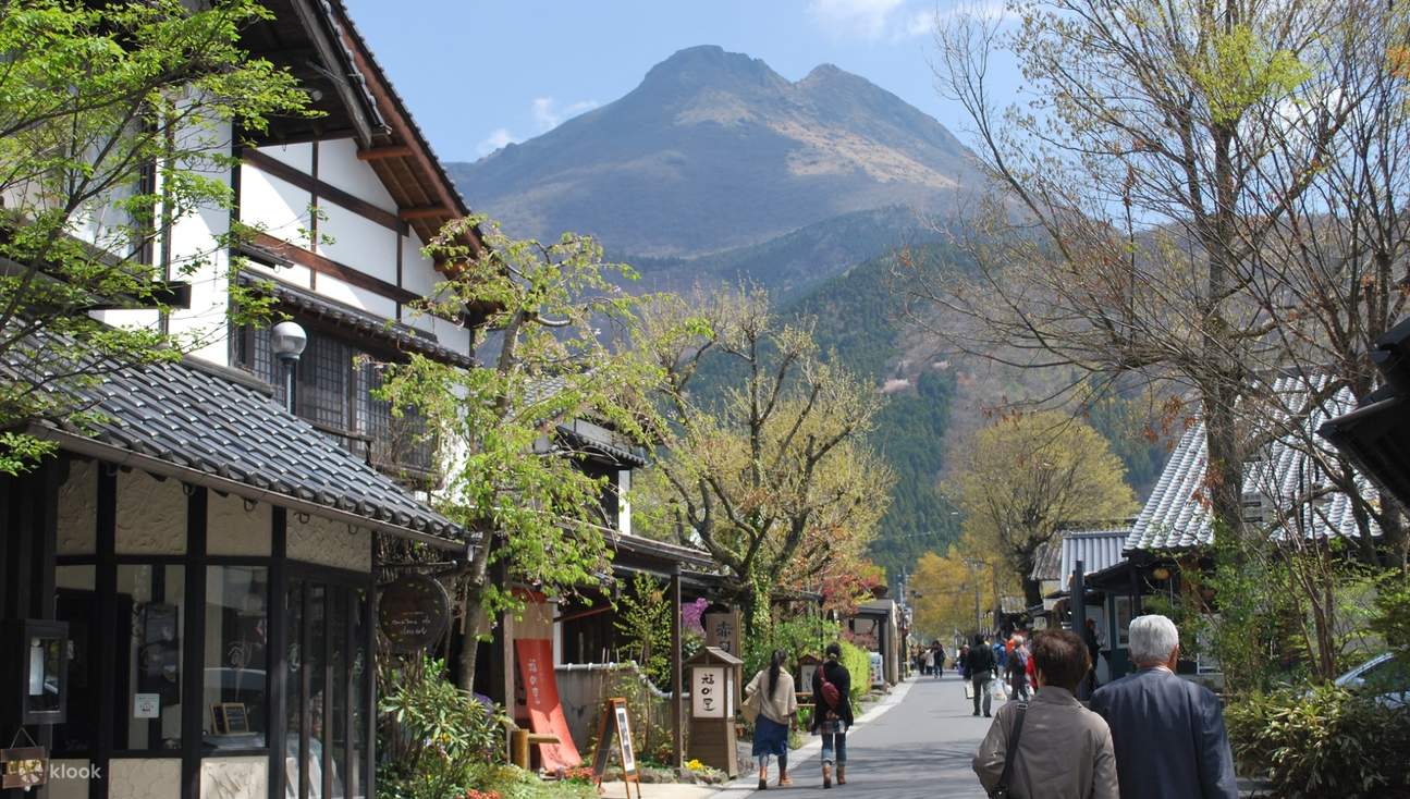 伏見での人力車体験