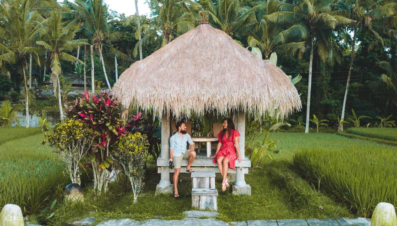 pengalaman piknik makan siang