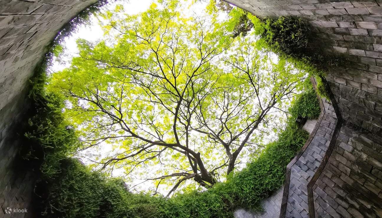 Terowong Pokok Fort Canning