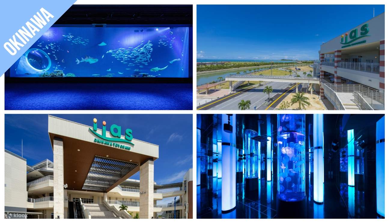 [Acuario DMM Kariyushi, Okinawa] ¡Experimente una impresionante fusión de tecnología y vida marina!