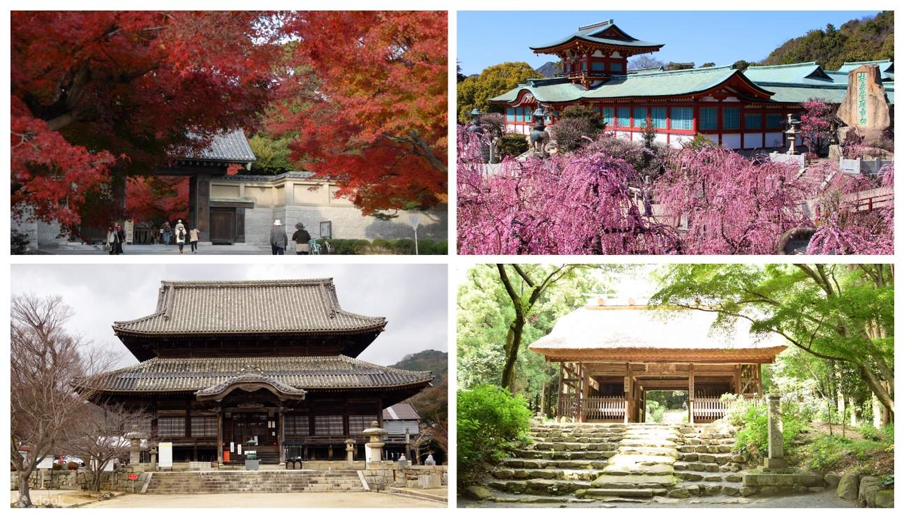 Vé tham quan các điểm du lịch ở thành phố Hofu, tỉnh Yamaguchi