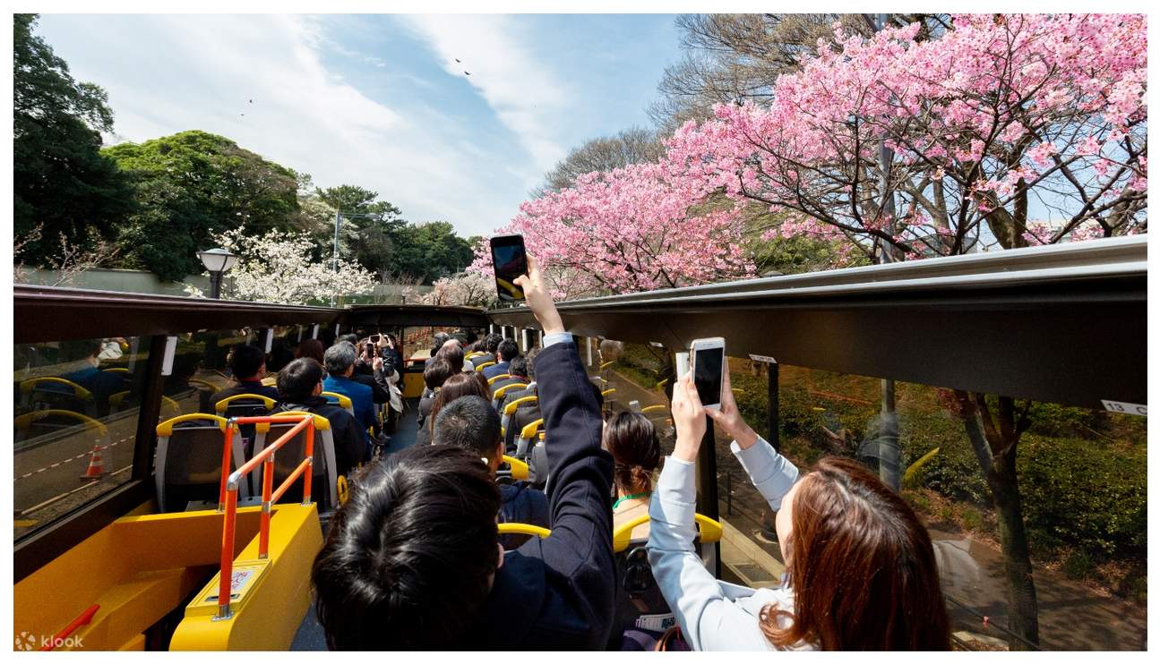 Have Fun in Tokyo Pass 1 Week Free Pass - Klook United States Have Fun in Tokyo Pass 1 Week Free Pass - Klook United States
