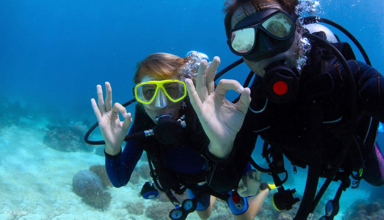 含午餐的潛水艇之旅（適合初學者） - 馬爾薩阿拉姆