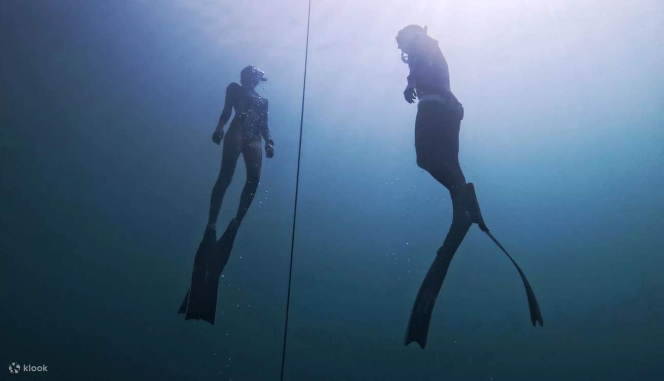 Finding freedom beneath the waves— PADI freediver course is all about mastering your breath and connecting with the ocean.