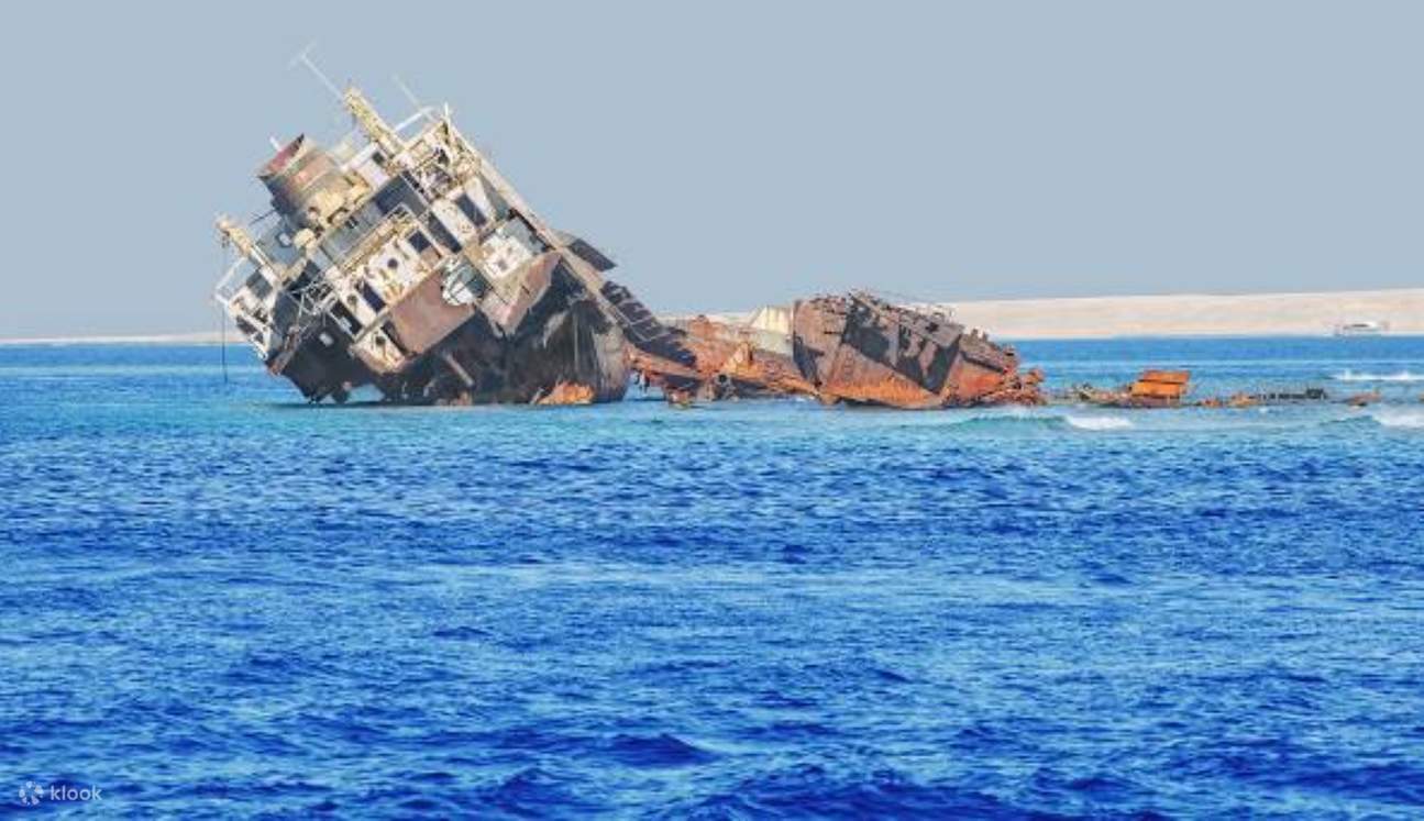 Lặn biển ngắm san hô ở Đảo Tiran, kèm bữa trưa & đưa đón - Sharm El Sheikh