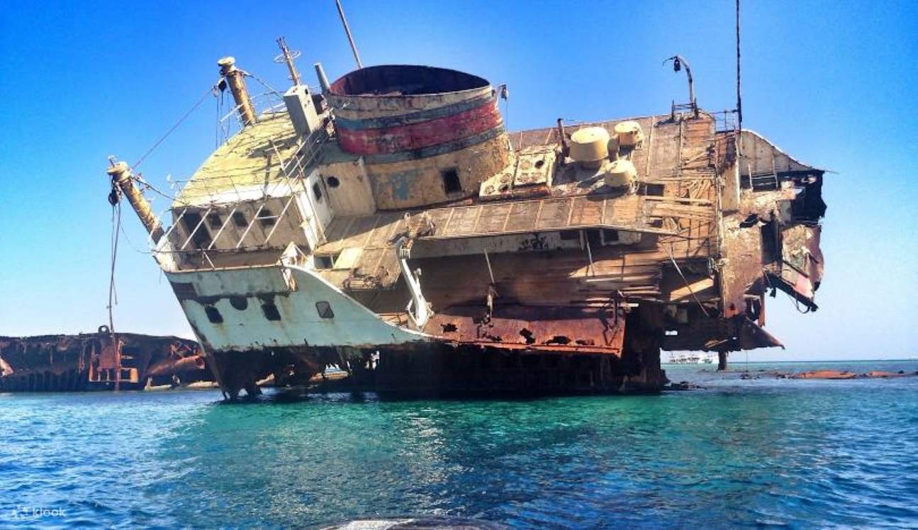 Lặn biển ngắm san hô ở Đảo Tiran, kèm bữa trưa & đưa đón - Sharm El Sheikh