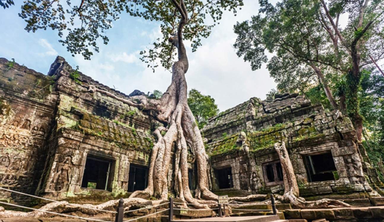 Angkor Rp Rasakan Matahari Terbit Angkor Wat dengan Small Cycle Private Tuk-Tuk ...