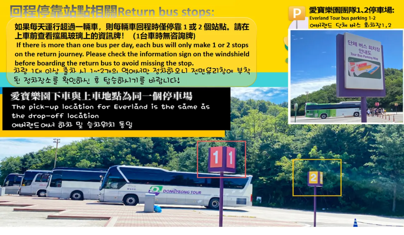 JINA International Travel 从首尔到爱宝乐园的往返接驳车接送