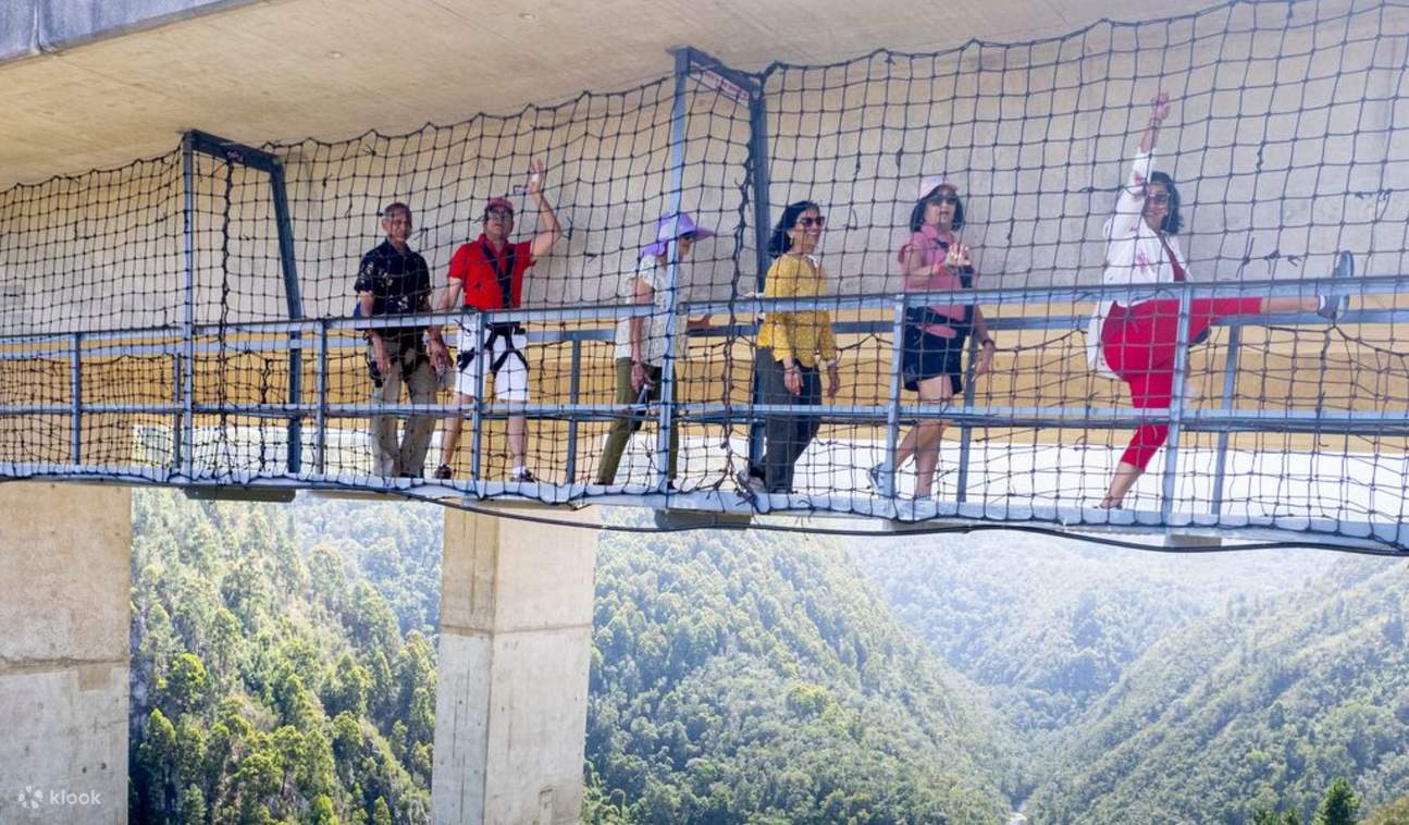 Pengalaman Zipline dan Skywalk Hangout di Western Cape