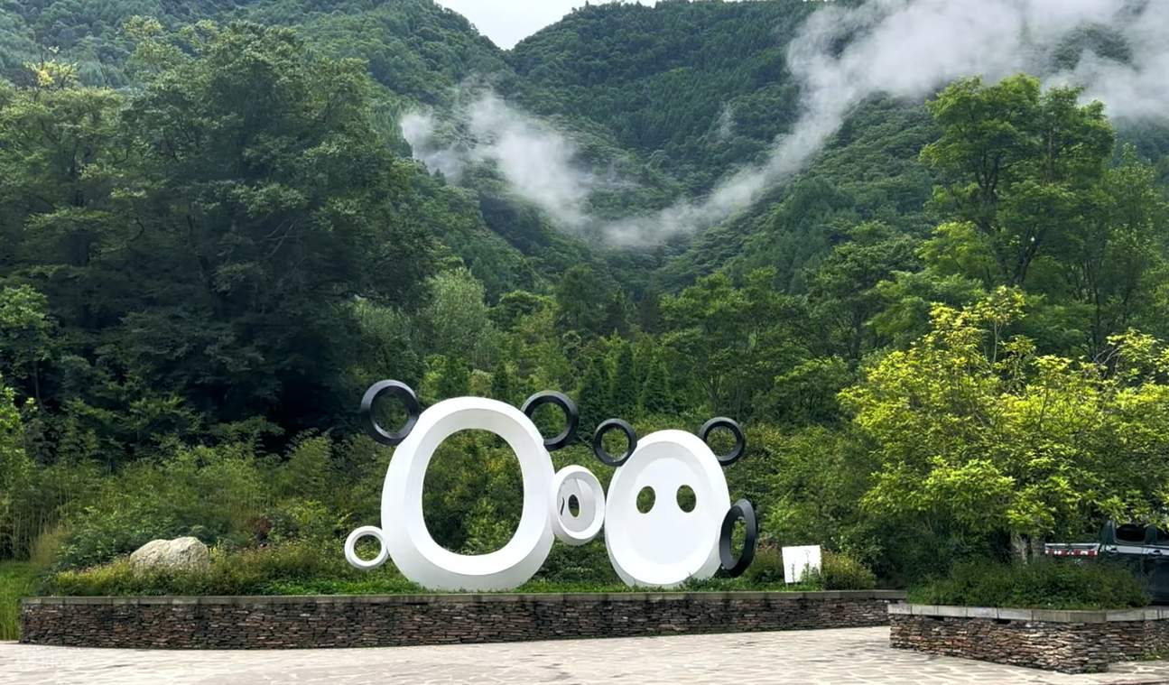 Wolong National Nature Reserve Panda Base & Dujiangyan Irrigation System  Day Tour | Private Tour | Optional 