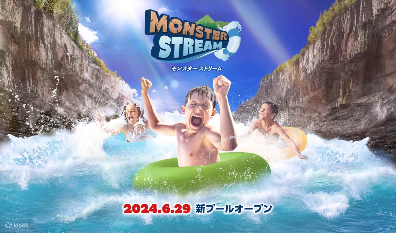 急ぎます！4枚 ≪サマーランドワンデーパスポート≫ きびしかっ