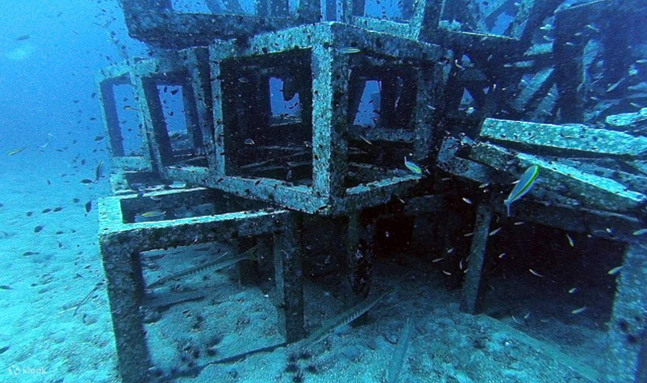 PADIアドバンスドオープンウォーターダイバーコース（パンガン島 / PADI 5 Star Center提供）