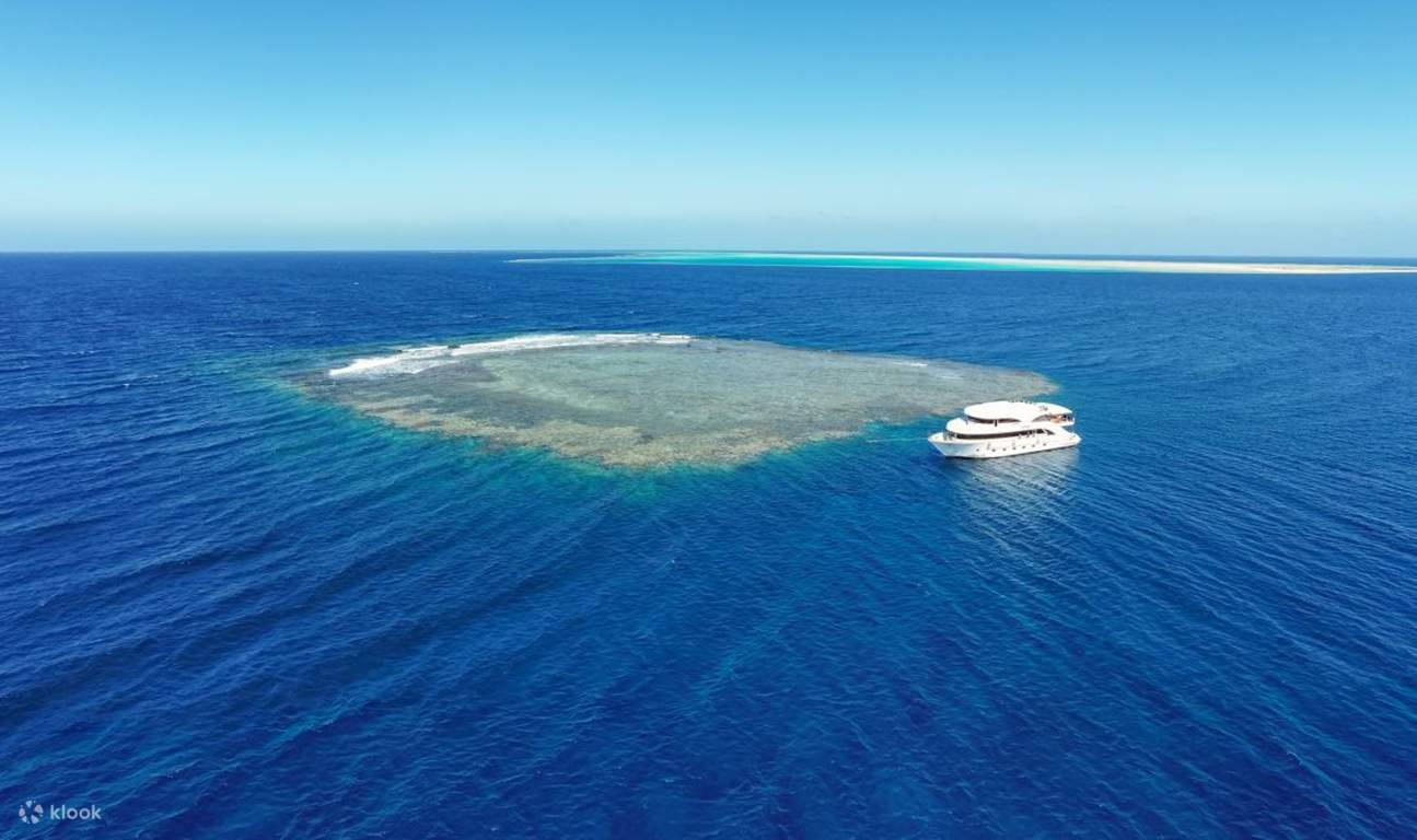 ทริปดำน้ำตื้นที่ Coral Garden และ Intro Dive พร้อมบริการรับส่ง - Marsa Alam