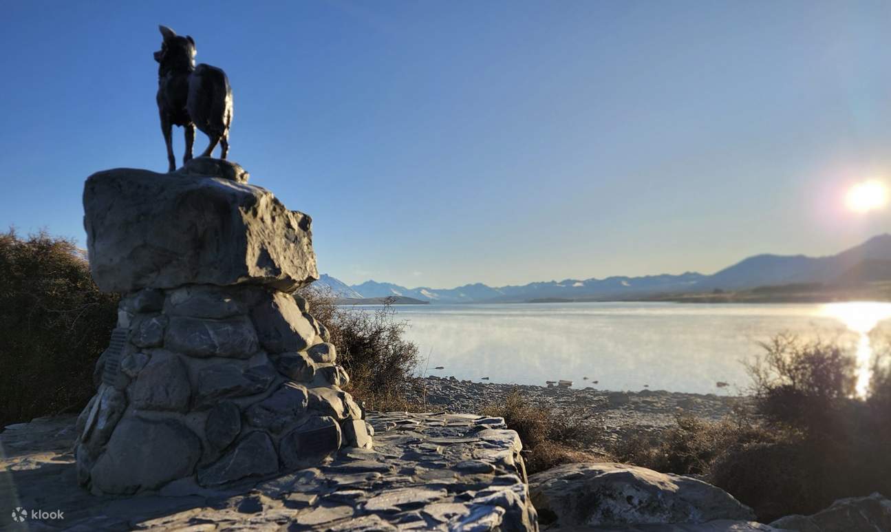 Excursión de un día al Monte Cook vía el lago Tekapo desde Christchurch