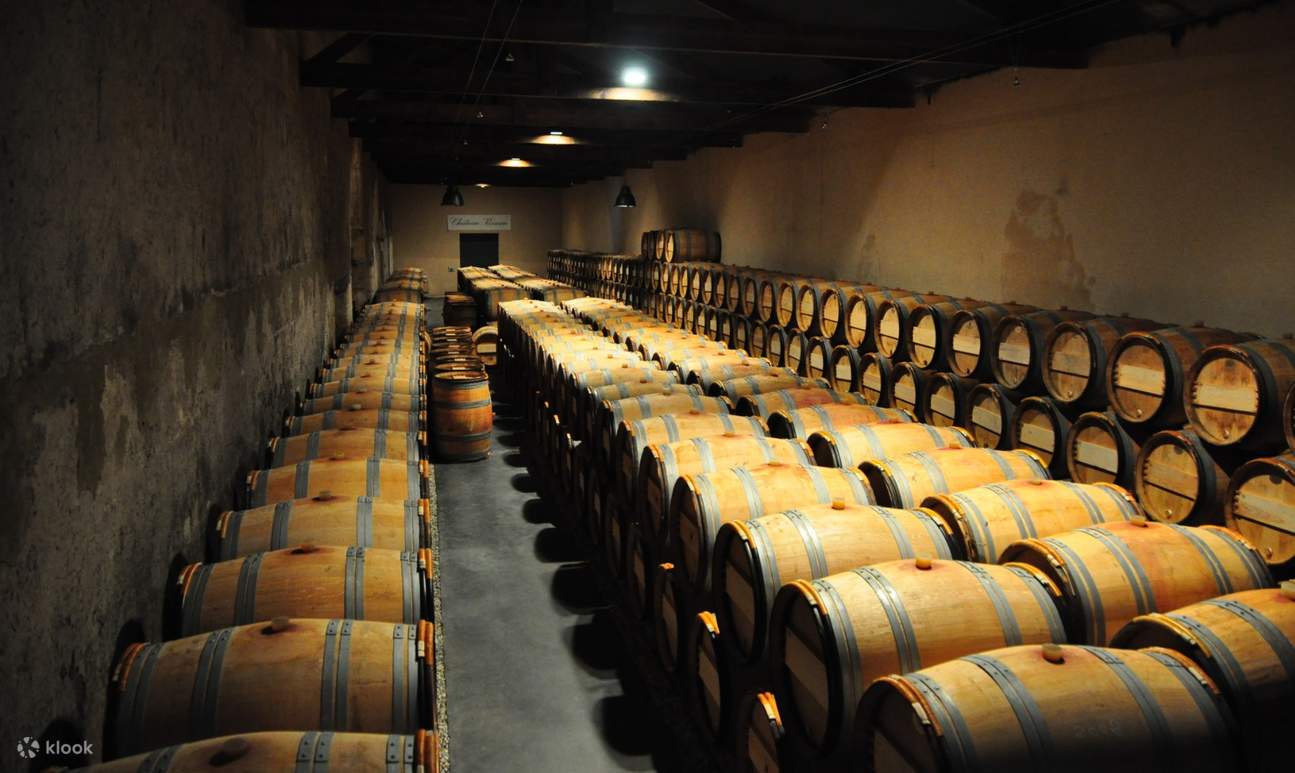 private wine tour in bordeaux