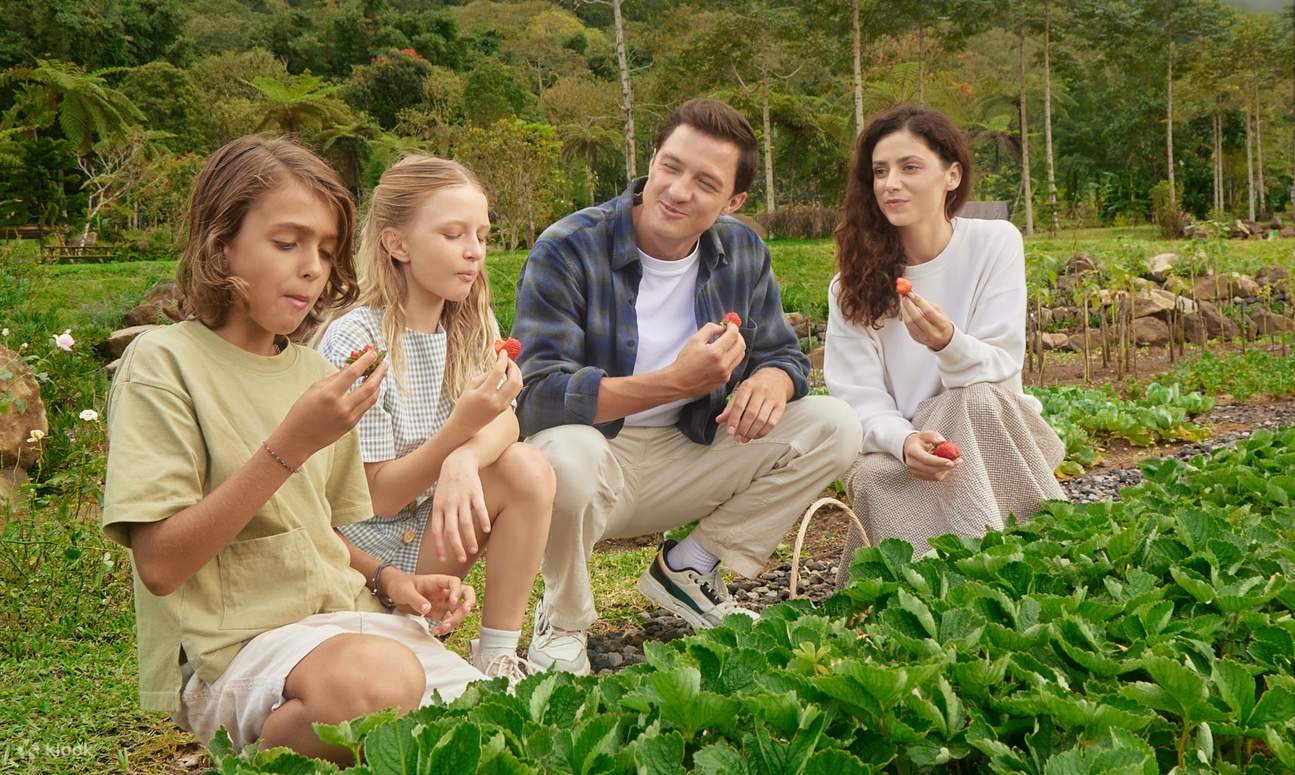 Billet Bali Farm House