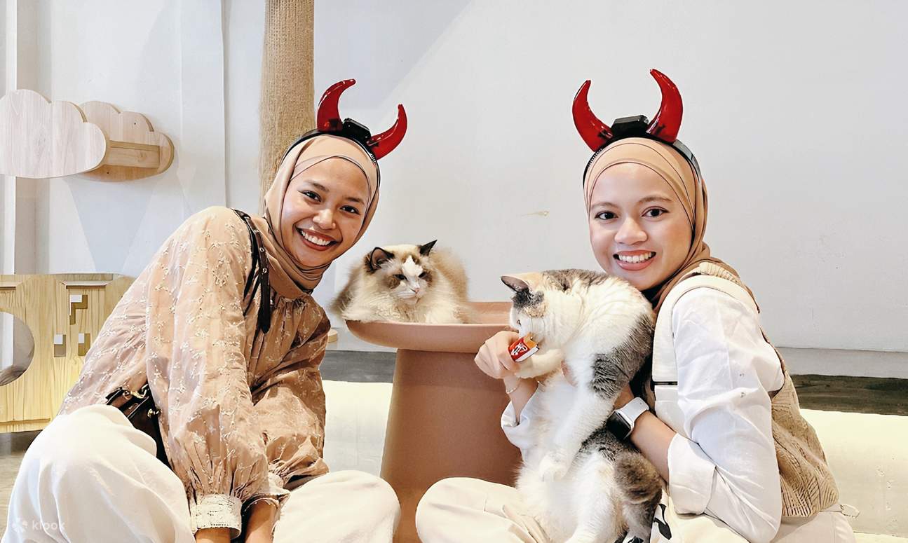 HOME by tales of paws 貓咪咖啡廳