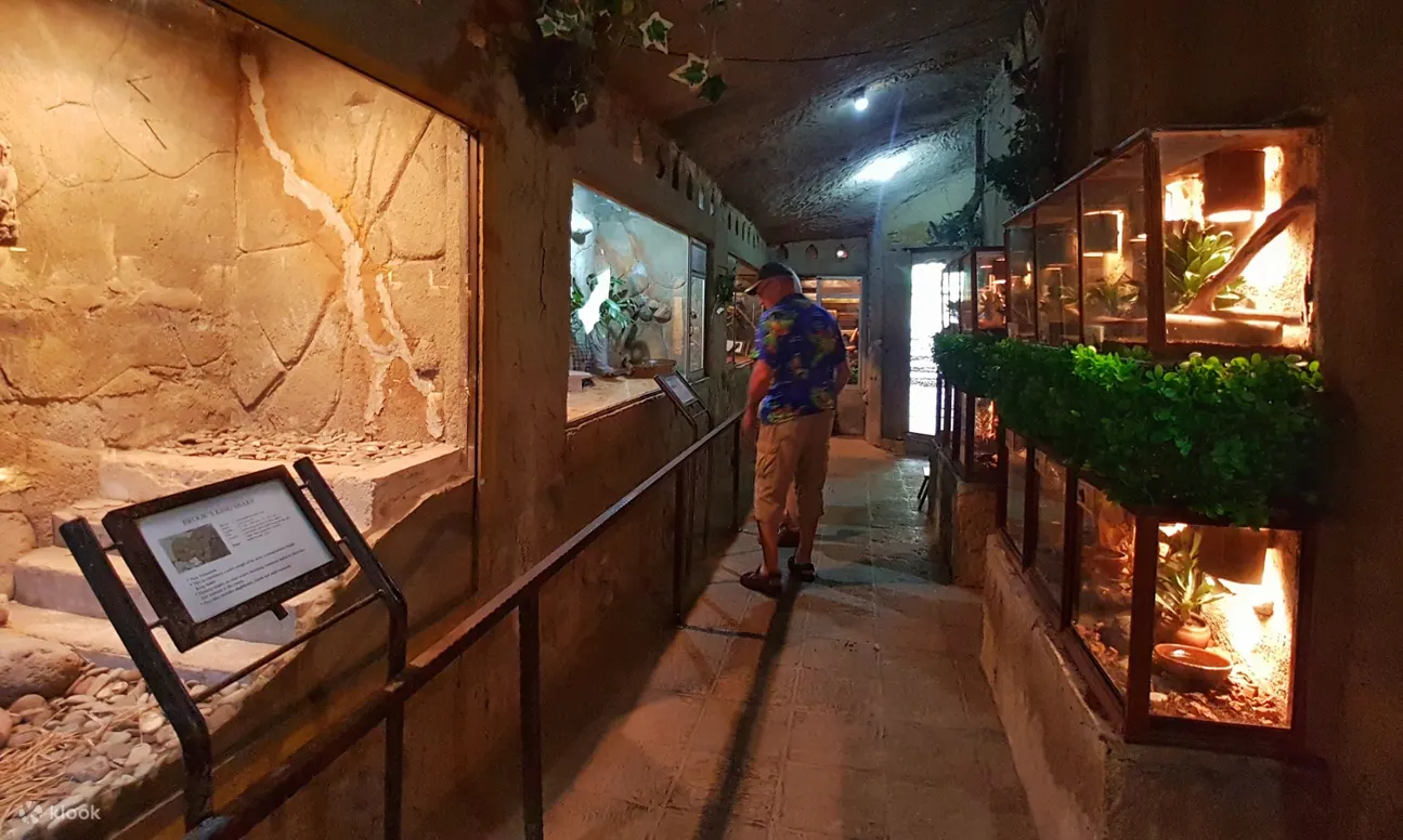 巴厘岛爬行动物公园