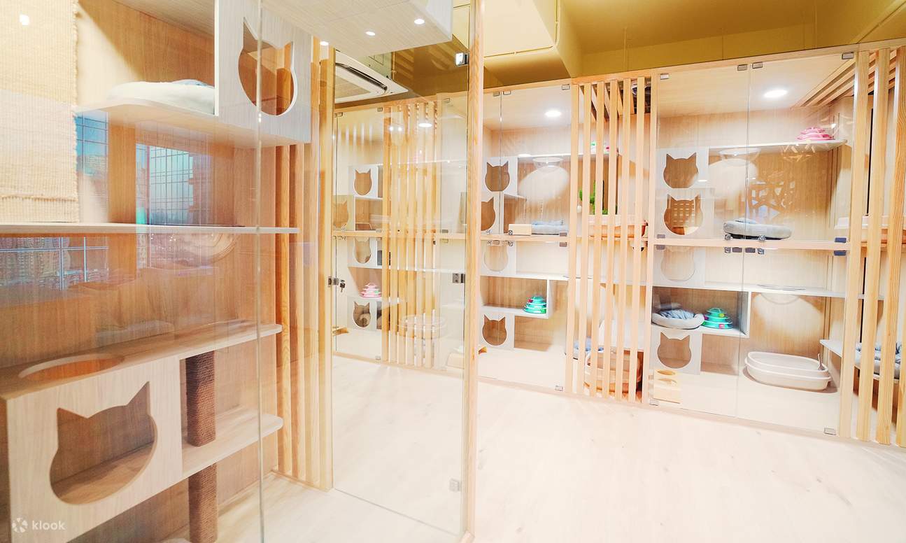 猫季酒店 - 猫猫住宿服务