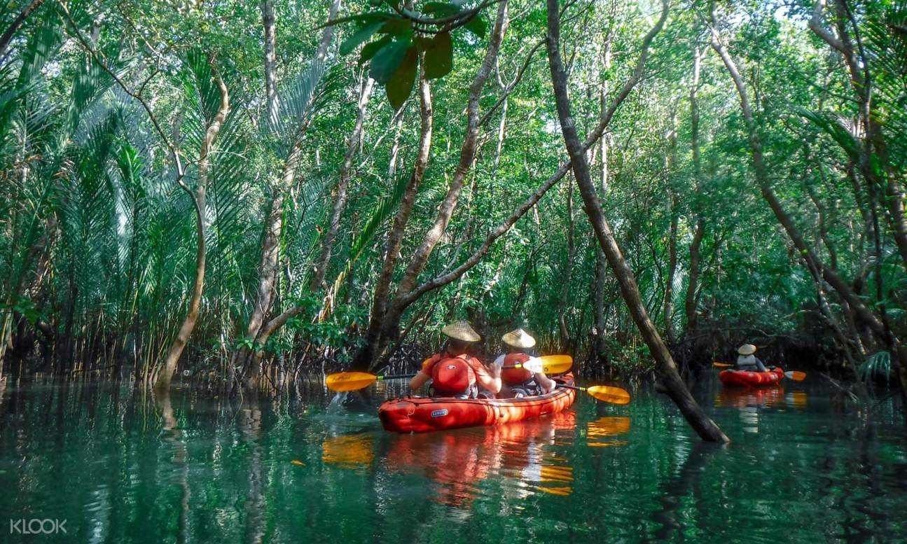 Bohol Mangrove River Kayaking Tour Klook Philippines
